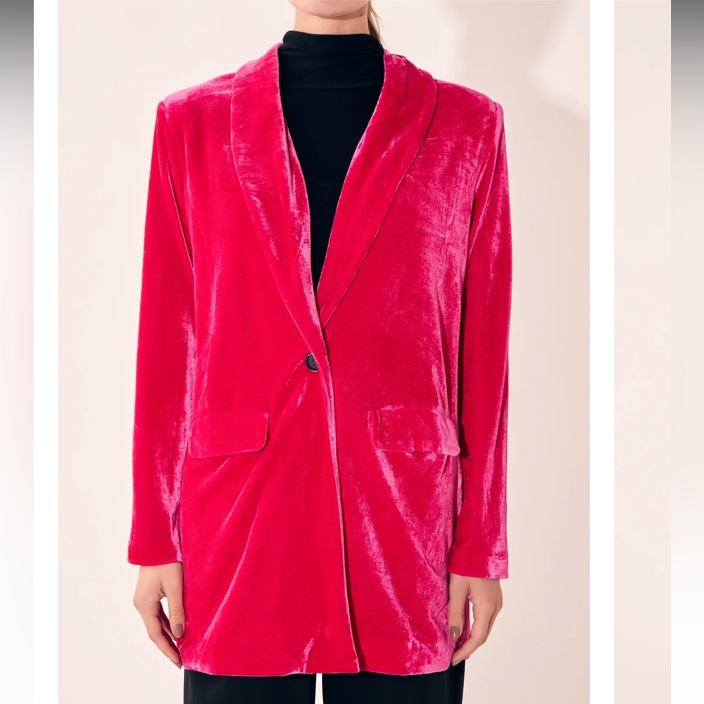 Velvet Blazer - Picture 2 of 5